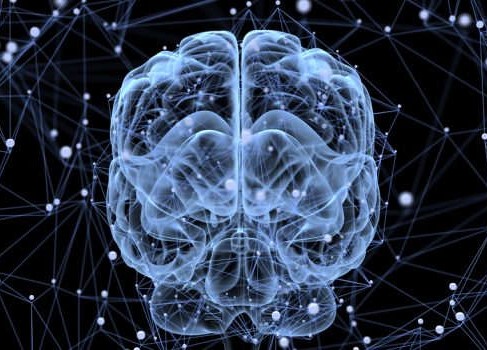 مولفه-های-اصلی-تحول-شناختی-از-دیدگاه-پیاژه