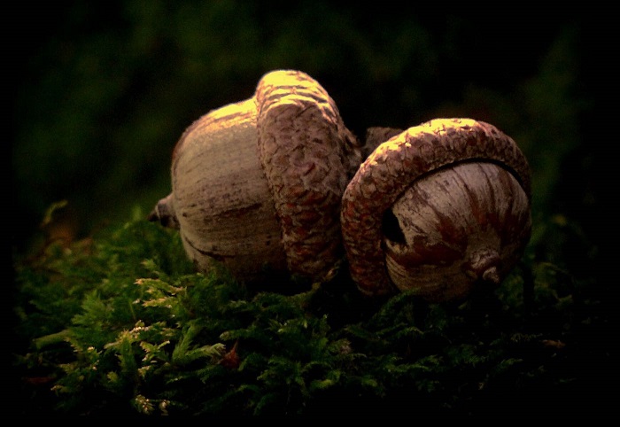 راز تغییر چیست و چگونه خود را تغییر دهیم؟