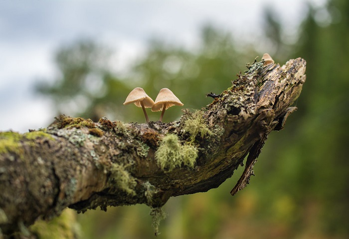 آگاهی، تصویر سازی و آنالیز به عنوان سه اصل راز تغییر